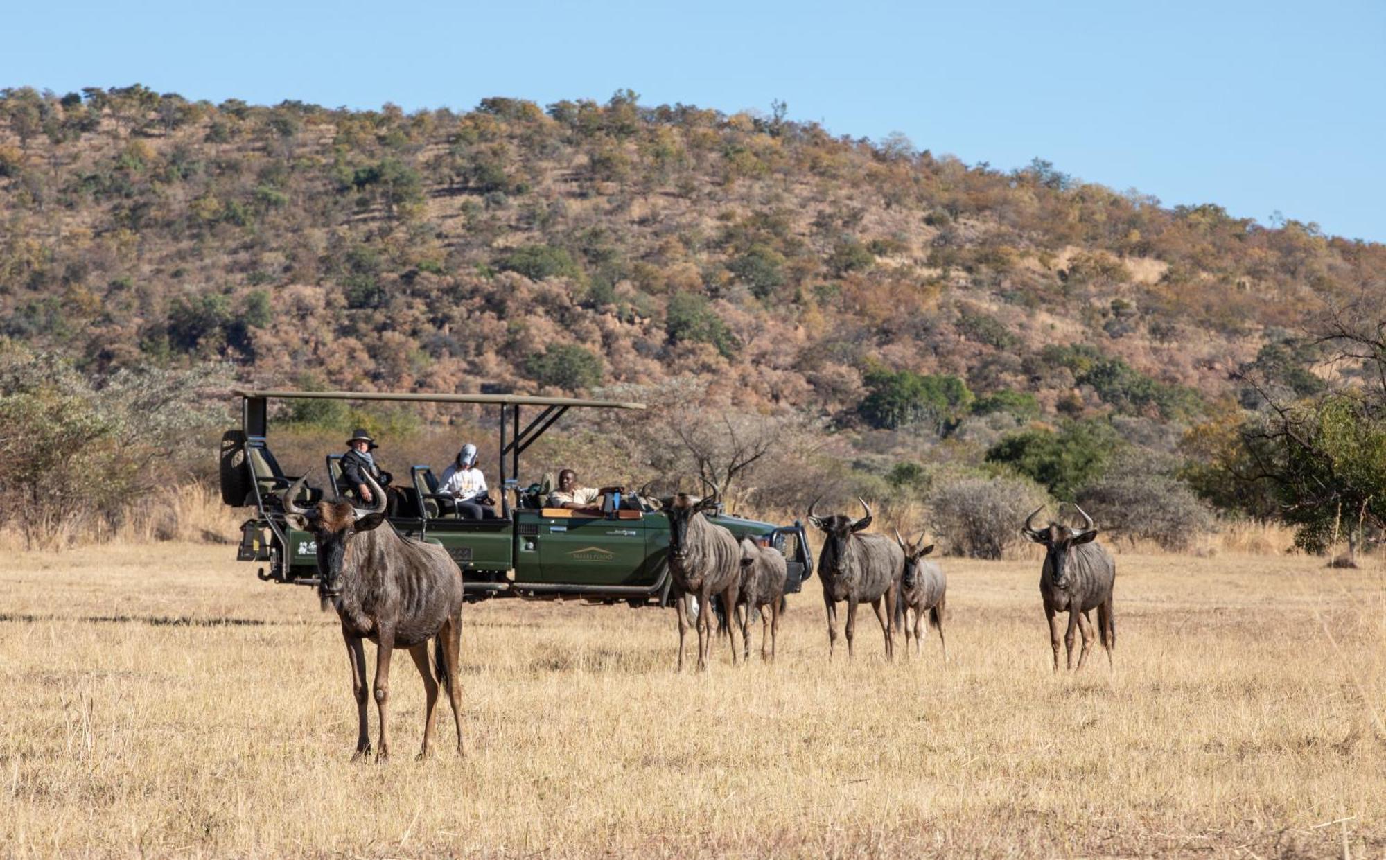 Вилла Safari Plains Mabula Game Reserve Экстерьер фото