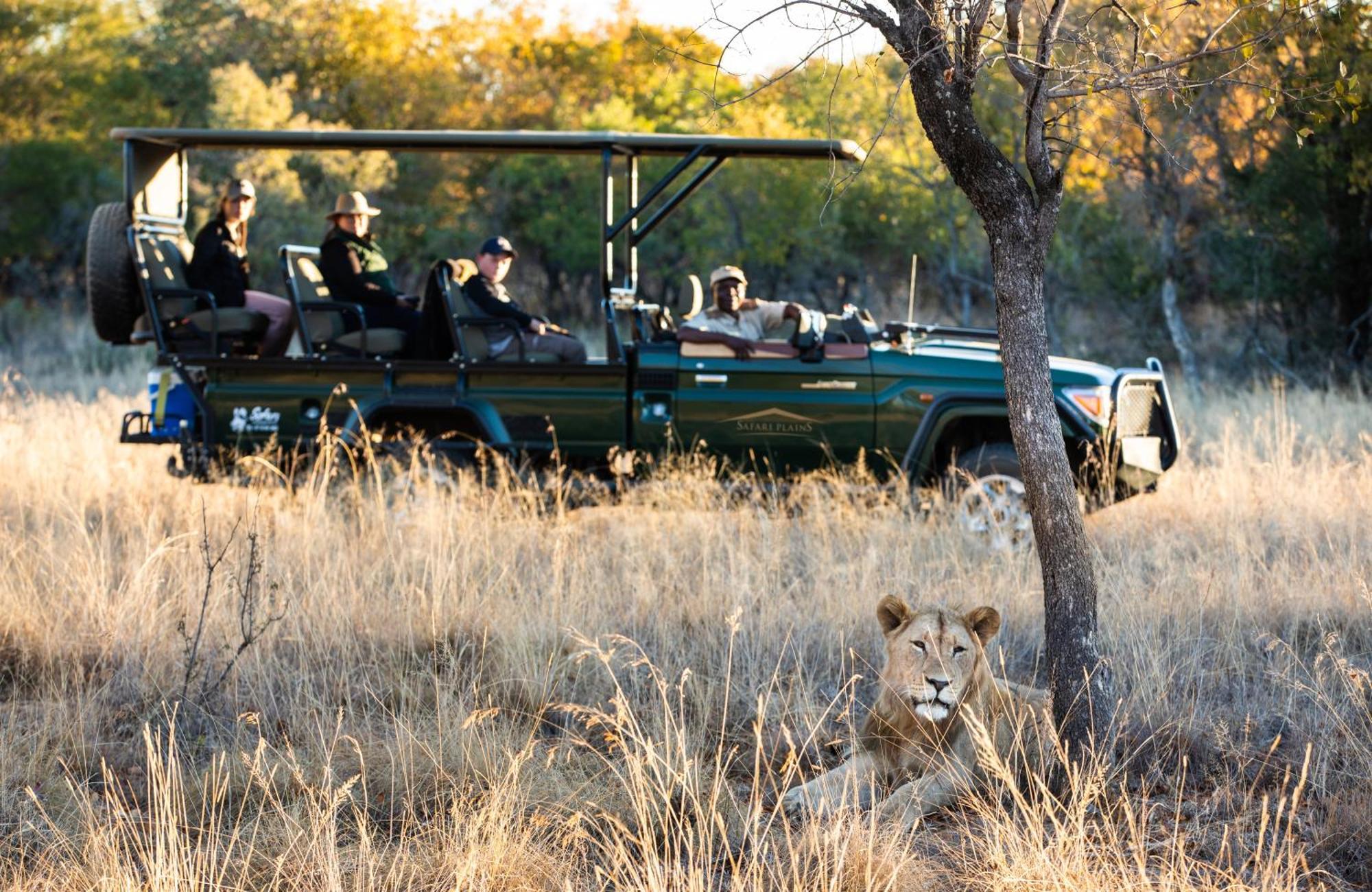 Вилла Safari Plains Mabula Game Reserve Экстерьер фото