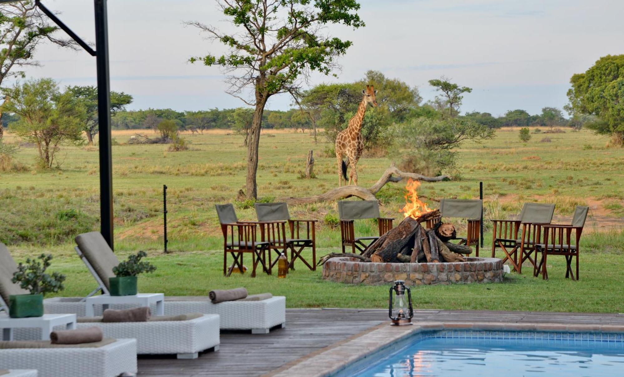 Вилла Safari Plains Mabula Game Reserve Экстерьер фото